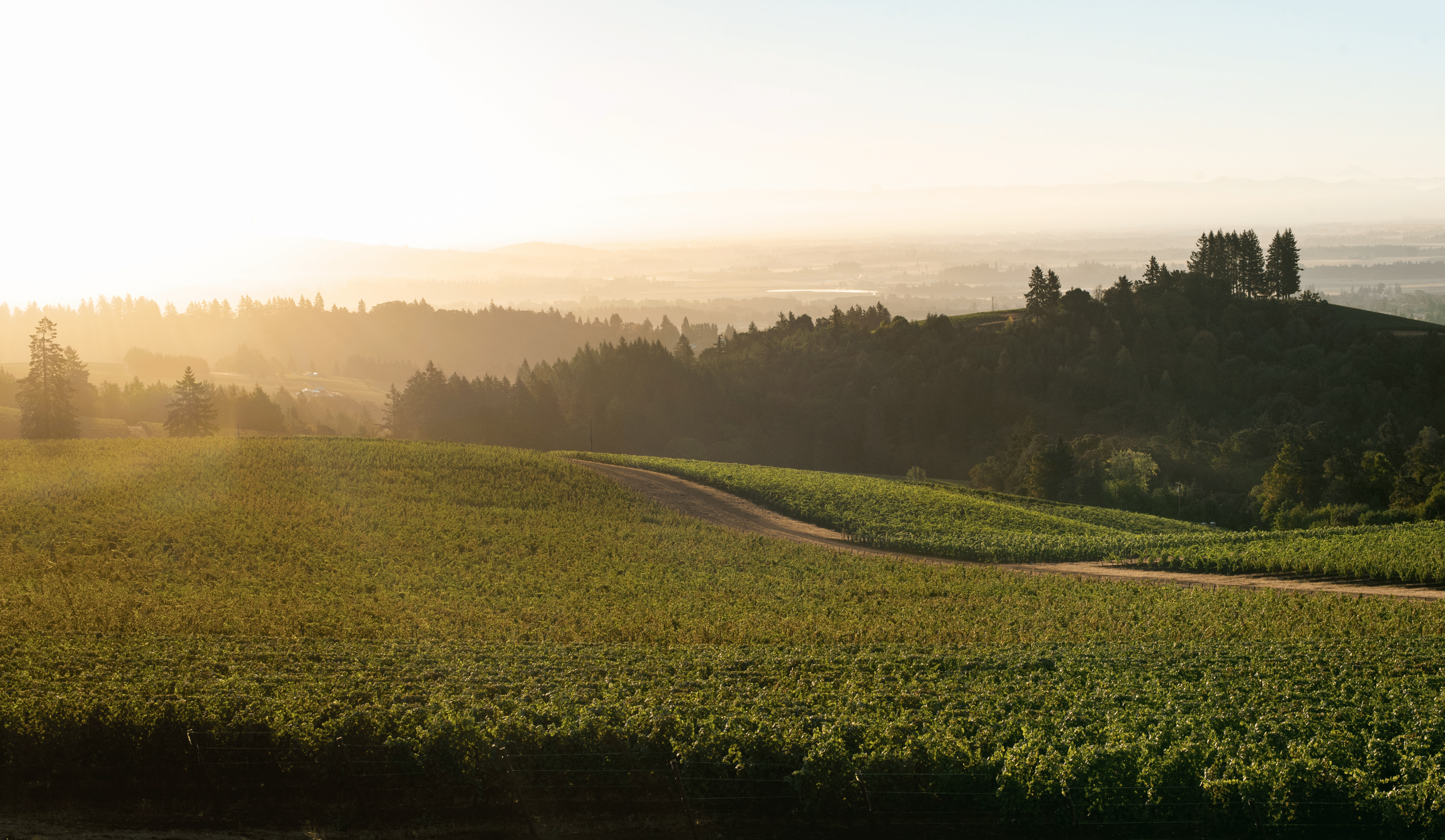 Things To Do near Healdsburg, CA | Liora Estate